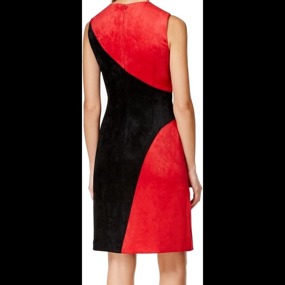 Suede Dress - Picture 2 of 2